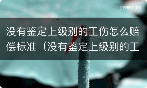 没有鉴定上级别的工伤怎么赔偿标准（没有鉴定上级别的工伤怎么赔偿标准呢）