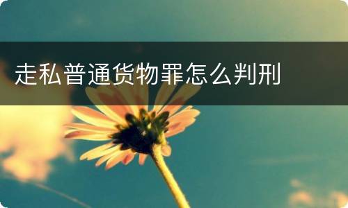 走私普通货物罪怎么判刑