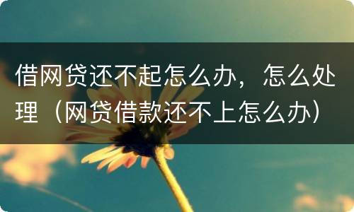 借网贷还不起怎么办，怎么处理（网贷借款还不上怎么办）