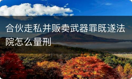合伙走私并贩卖武器罪既遂法院怎么量刑