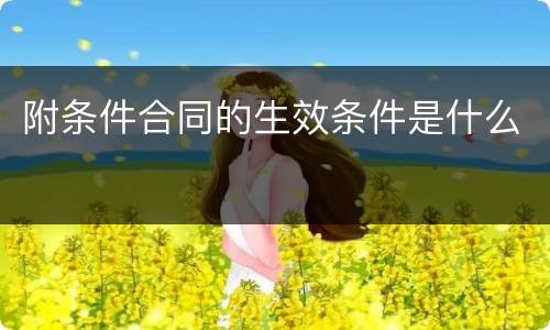 附条件合同的生效条件是什么