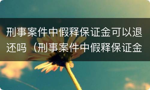 刑事案件中假释保证金可以退还吗（刑事案件中假释保证金可以退还吗怎么退）
