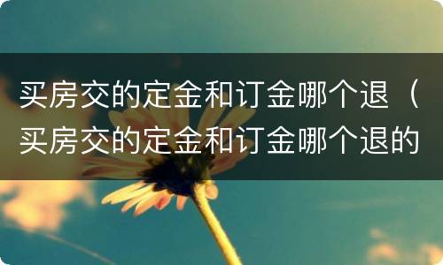 买房交的定金和订金哪个退（买房交的定金和订金哪个退的快）
