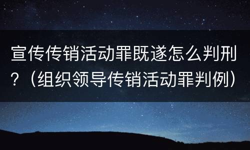 宣传传销活动罪既遂怎么判刑?（组织领导传销活动罪判例）