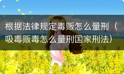 根据法律规定毒贩怎么量刑（吸毒贩毒怎么量刑国家刑法）