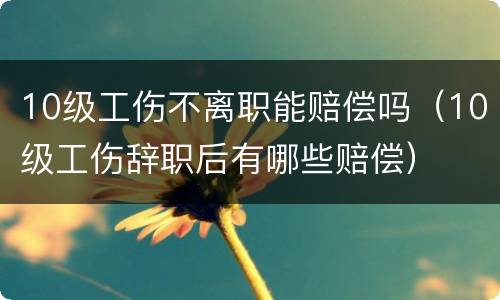 10级工伤不离职能赔偿吗（10级工伤辞职后有哪些赔偿）