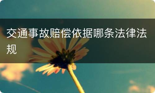 交通事故赔偿依据哪条法律法规