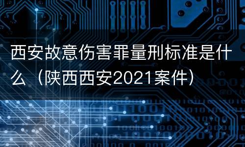 西安故意伤害罪量刑标准是什么（陕西西安2021案件）