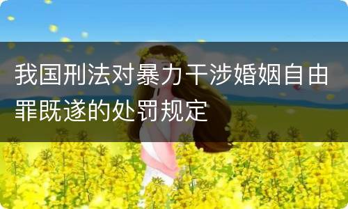 我国刑法对暴力干涉婚姻自由罪既遂的处罚规定