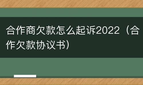 合作商欠款怎么起诉2022（合作欠款协议书）