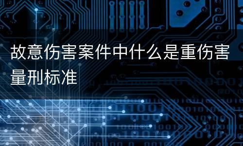 故意伤害案件中什么是重伤害量刑标准