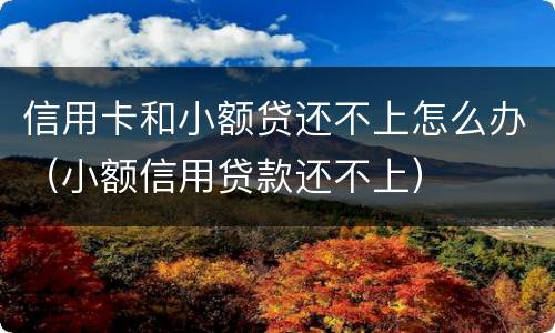 信用卡和小额贷还不上怎么办（小额信用贷款还不上）