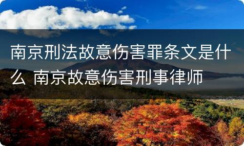 南京刑法故意伤害罪条文是什么 南京故意伤害刑事律师