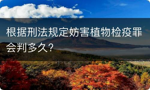 根据刑法规定妨害植物检疫罪会判多久?