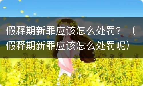 假释期新罪应该怎么处罚？（假释期新罪应该怎么处罚呢）