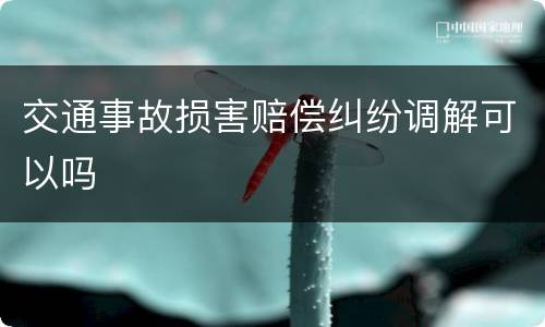 交通事故损害赔偿纠纷调解可以吗