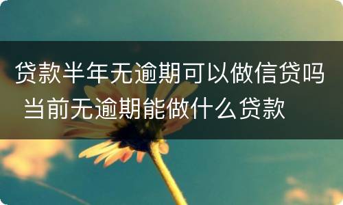 贷款半年无逾期可以做信贷吗 当前无逾期能做什么贷款