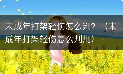 未成年打架轻伤怎么判？（未成年打架轻伤怎么判刑）