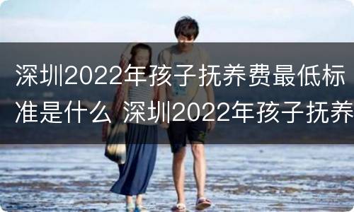 深圳2022年孩子抚养费最低标准是什么 深圳2022年孩子抚养费最低标准是什么时候发放