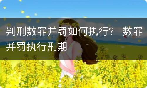 判刑数罪并罚如何执行？ 数罪并罚执行刑期