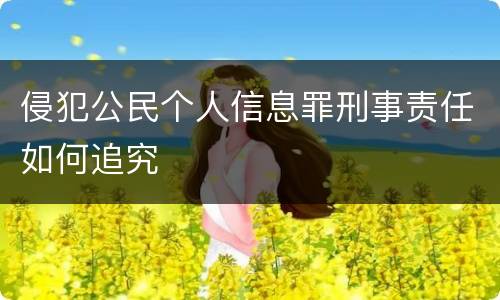 侵犯公民个人信息罪刑事责任如何追究