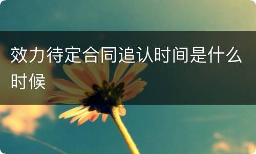 效力待定合同追认时间是什么时候