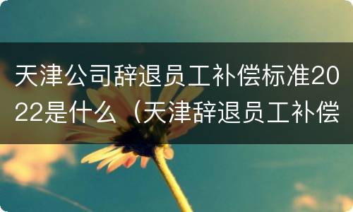 天津公司辞退员工补偿标准2022是什么（天津辞退员工补偿标准2021）
