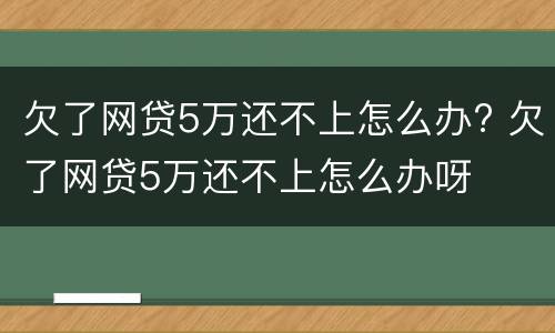 欠了网贷5万还不上怎么办? 欠了网贷5万还不上怎么办呀