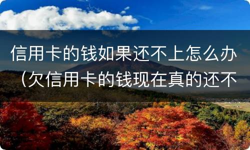信用卡的钱如果还不上怎么办（欠信用卡的钱现在真的还不上怎么办）