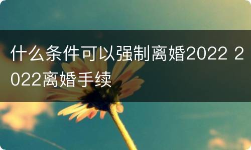 什么条件可以强制离婚2022 2022离婚手续
