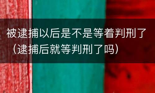 被逮捕以后是不是等着判刑了（逮捕后就等判刑了吗）