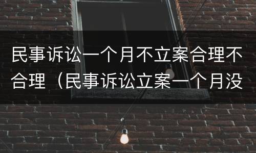 民事诉讼一个月不立案合理不合理（民事诉讼立案一个月没信）