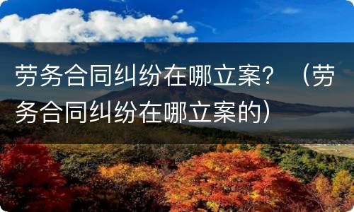 劳务合同纠纷在哪立案？（劳务合同纠纷在哪立案的）