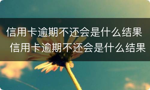 信用卡逾期不还会是什么结果 信用卡逾期不还会是什么结果呢