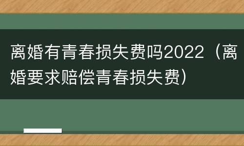离婚有青春损失费吗2022（离婚要求赔偿青春损失费）