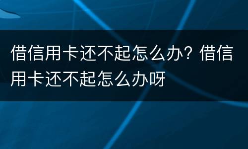 借信用卡还不起怎么办? 借信用卡还不起怎么办呀