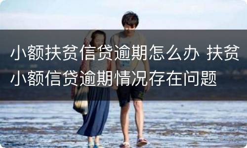 小额扶贫信贷逾期怎么办 扶贫小额信贷逾期情况存在问题