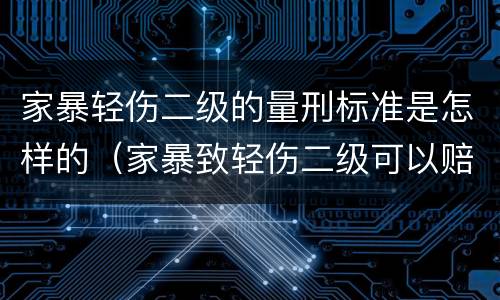 家暴轻伤二级的量刑标准是怎样的（家暴致轻伤二级可以赔偿多少钱?）