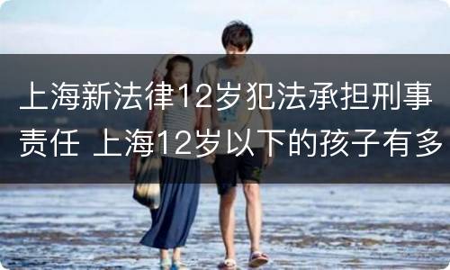 上海新法律12岁犯法承担刑事责任 上海12岁以下的孩子有多少