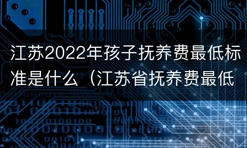 江苏2022年孩子抚养费最低标准是什么（江苏省抚养费最低标准是多少）