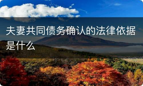 夫妻共同债务确认的法律依据是什么