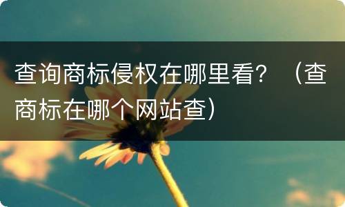 查询商标侵权在哪里看？（查商标在哪个网站查）