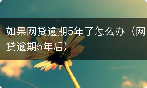 如果网贷逾期5年了怎么办（网贷逾期5年后）