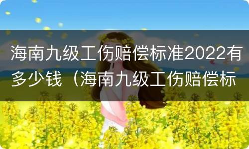 海南九级工伤赔偿标准2022有多少钱（海南九级工伤赔偿标准2022有多少钱一个月）