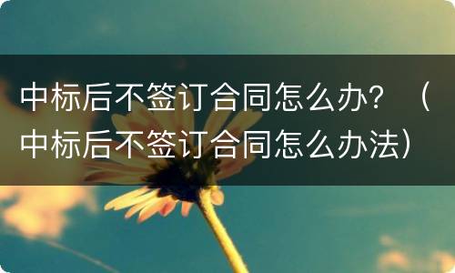 中标后不签订合同怎么办？（中标后不签订合同怎么办法）