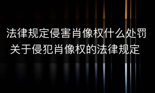 法律规定侵害肖像权什么处罚 关于侵犯肖像权的法律规定