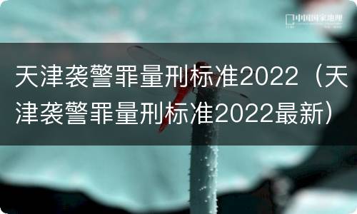 天津袭警罪量刑标准2022（天津袭警罪量刑标准2022最新）