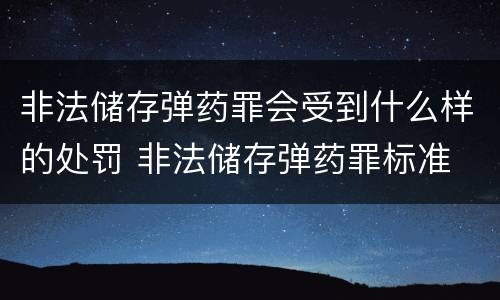 非法储存弹药罪会受到什么样的处罚 非法储存弹药罪标准