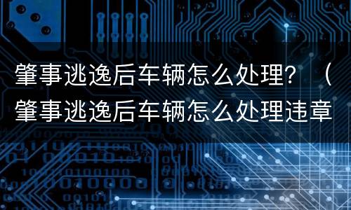 肇事逃逸后车辆怎么处理？（肇事逃逸后车辆怎么处理违章）