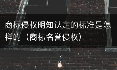 商标侵权明知认定的标准是怎样的（商标名誉侵权）